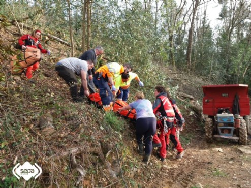 Un momento de la intervencin