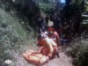 Un momento de la intervencin