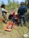 Un momento de la intervencin