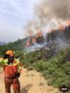 Incendio de Alguerdo en Ibias.