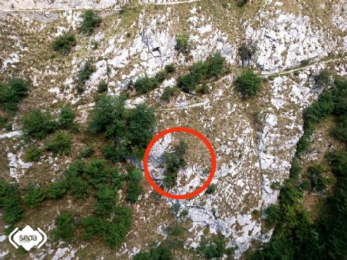 Lugar donde fue rescatada la mujer que evit su cada cogiendose a un rbol