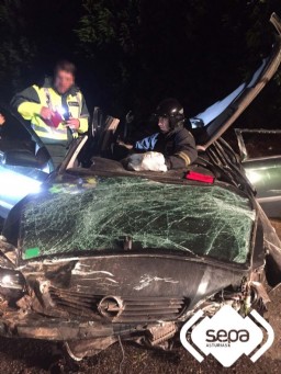 COCHE ACCIDENTADO EN VILLUIR, VALDS.