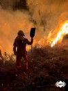 Intervencin de Bomberos del SEPA en un un incendio forestal