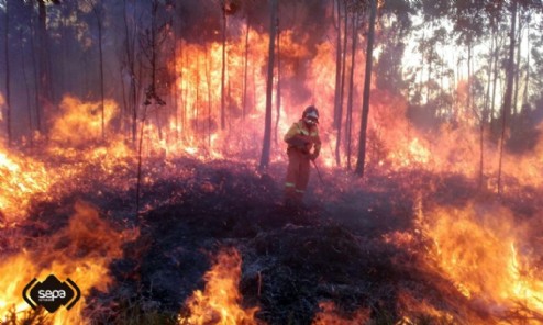 Un incendio forestal en el concejo de Llanes