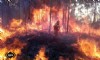 Un incendio forestal en Llanes