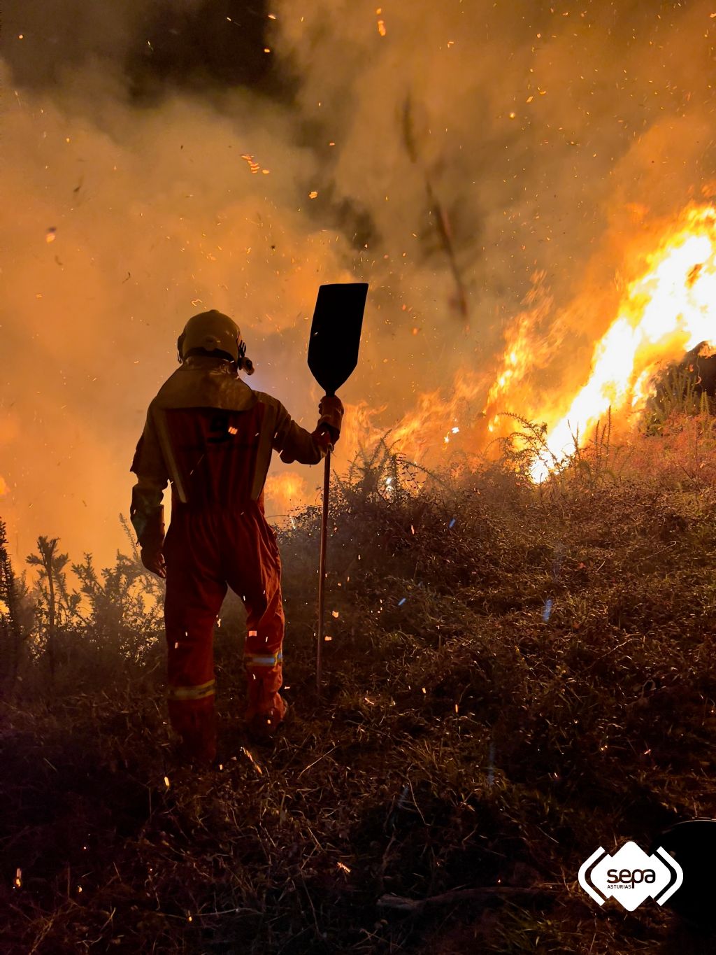 Intervencin de Bomberos del SEPA en un un incendio forestal