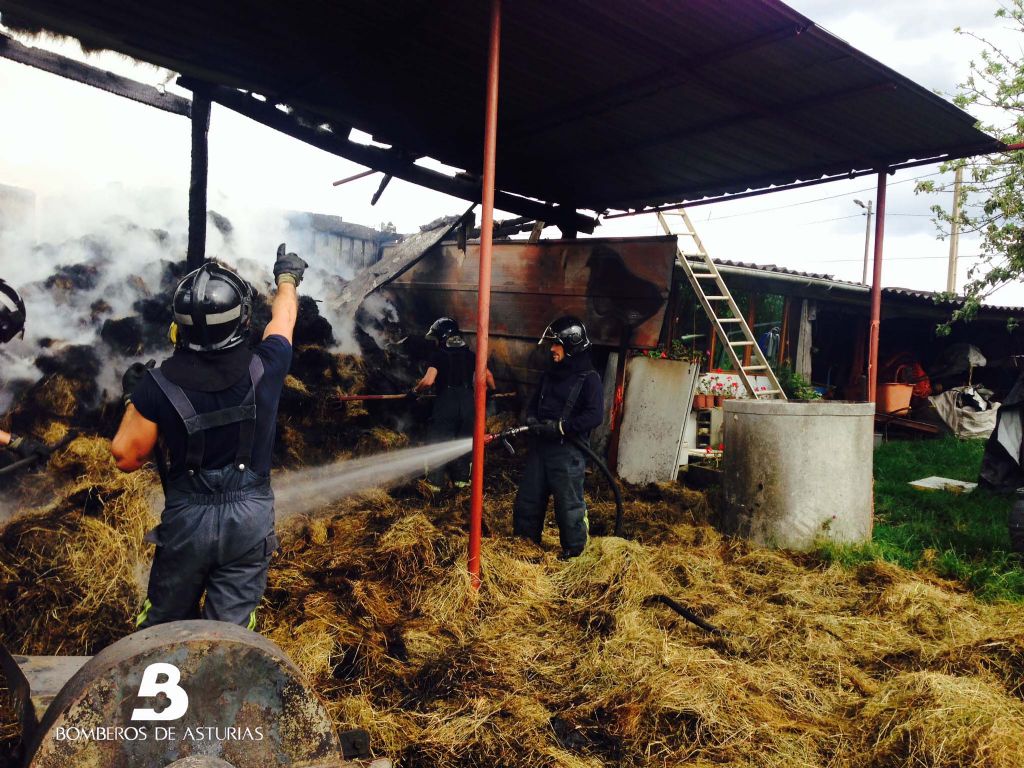 Bomberos del SEPA del parque de La Morgal trabajando en las labores de extincin