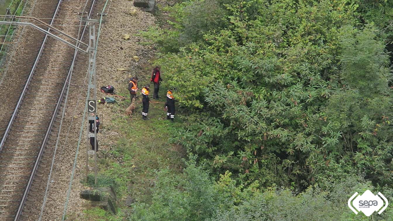 Dispositivo rastreo Corvera.