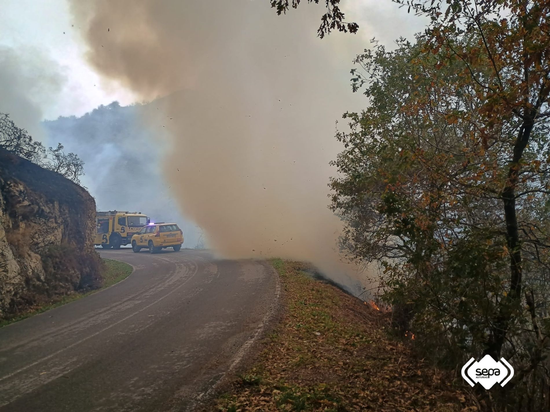 Incendio Forestal en El LLanon, Grado