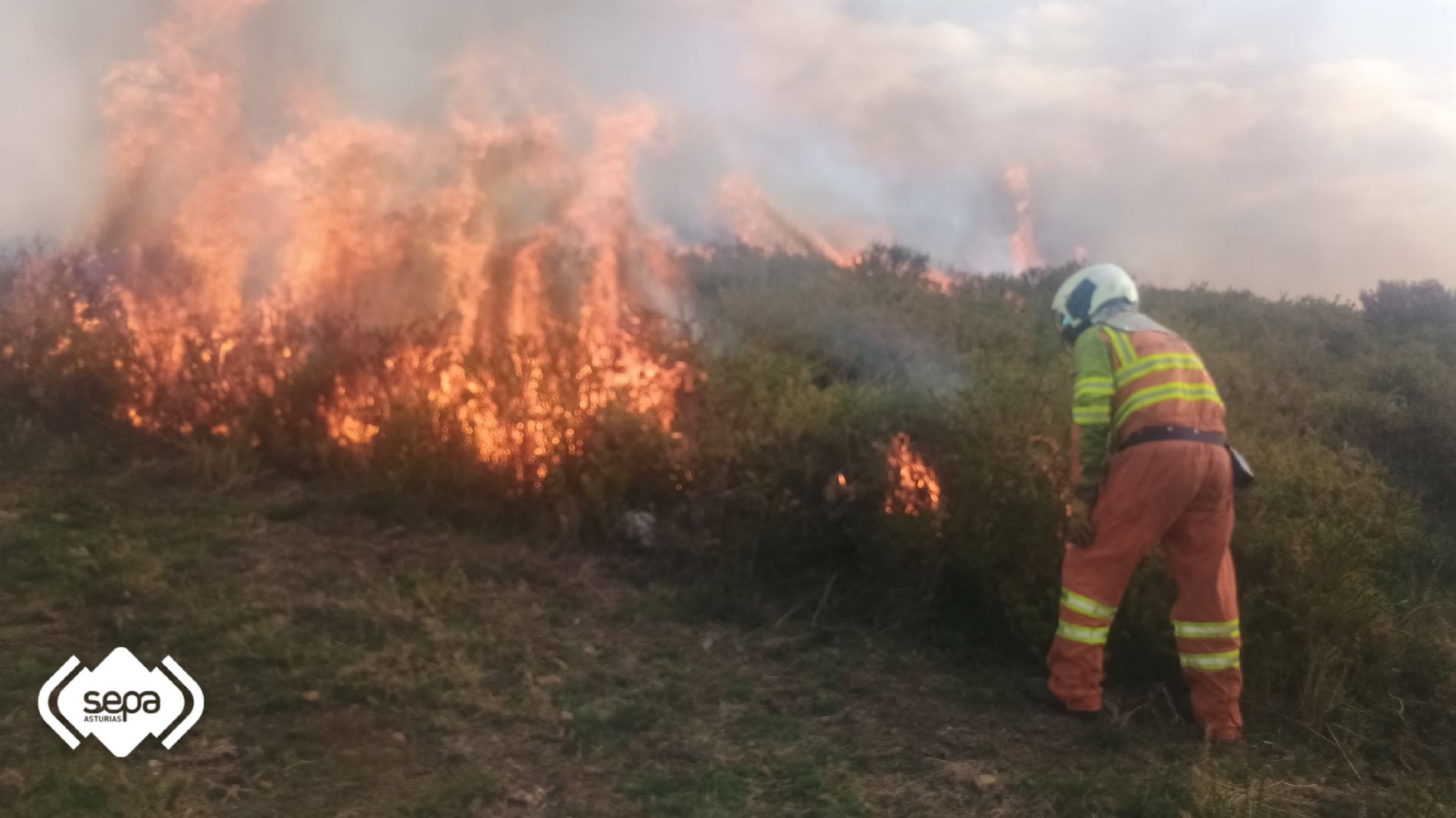Efectivos de Bomberos de SEPA aplicando contrafuego, medida de ataque indirecto, en incendio de Perandones en Cangas del Narcea