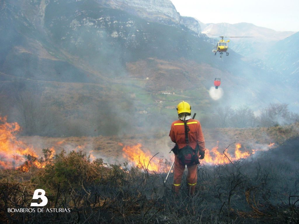 Un incendio forestal