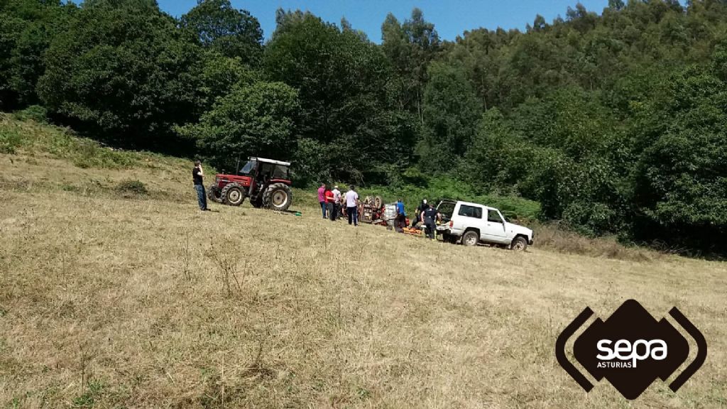 LUGAR DONDE VOLC EL TRACTOR EN LAS REGUERAS.